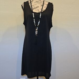 Black Sleeveless Sheer Sexy Fitted Slip/Dress